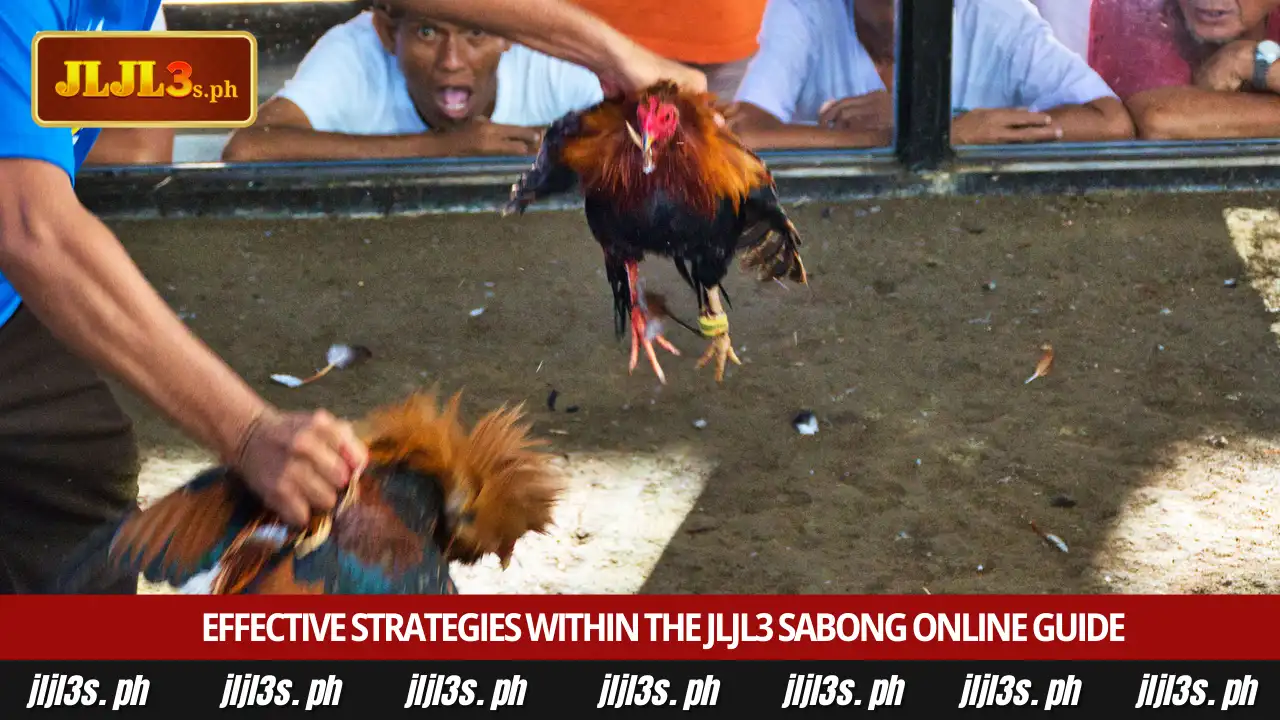 Winning with the JLJL3 sabong online guide at JLJL3 5 Effective strategies within the JLJL3 sabong online guide