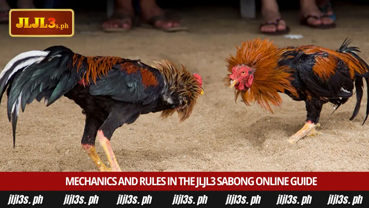 Winning with the JLJL3 sabong online guide at JLJL3 3 Mechanics and rules in the JLJL3 sabong online guide