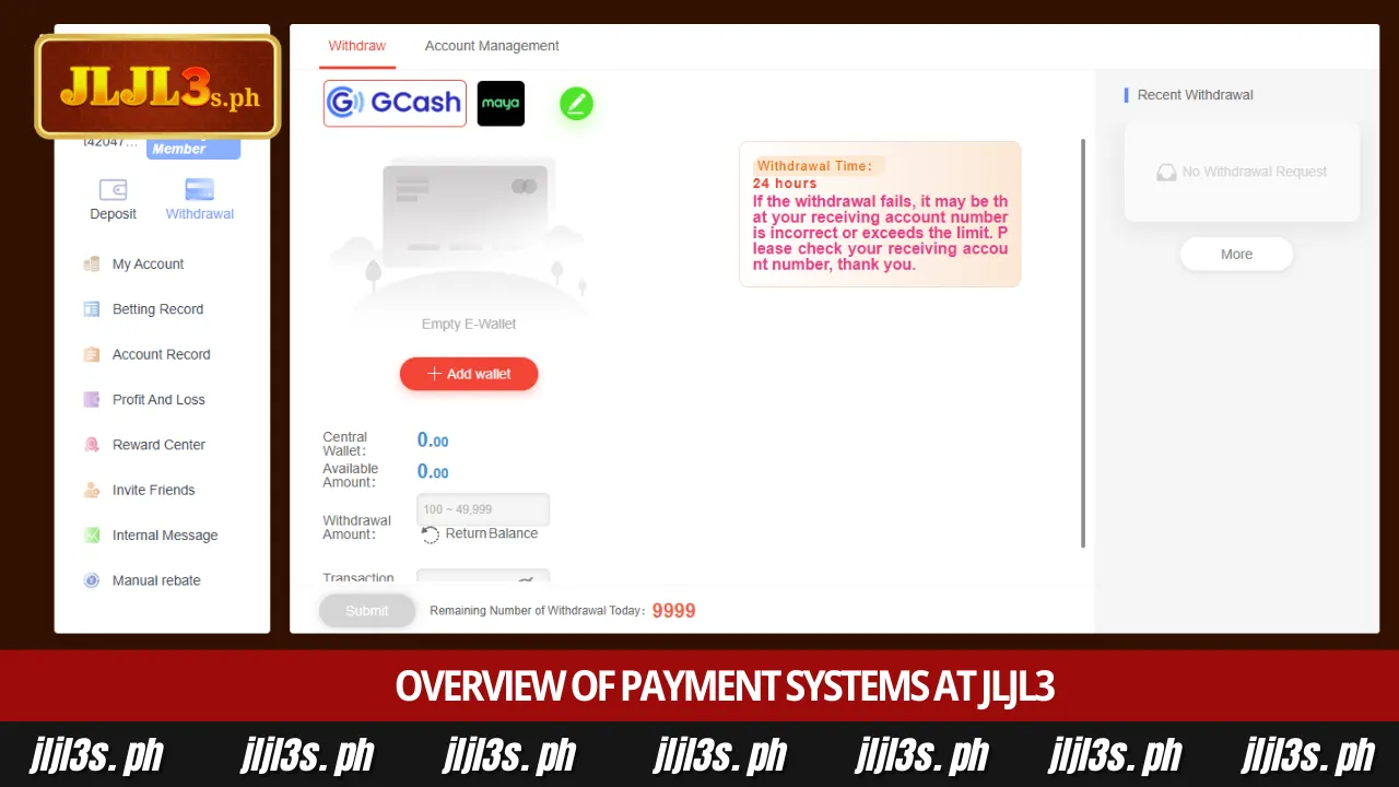 JLJL3 Withdrawal 1 Overview of payment systems at JLJL3