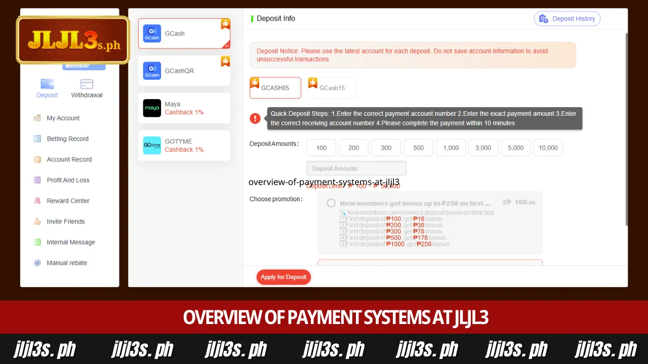 JLJL3 GCash Deposit 1 Overview of payment systems at JLJL3